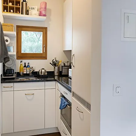 Bright Alpine Retreat Walk To Corvatsch Apartment *